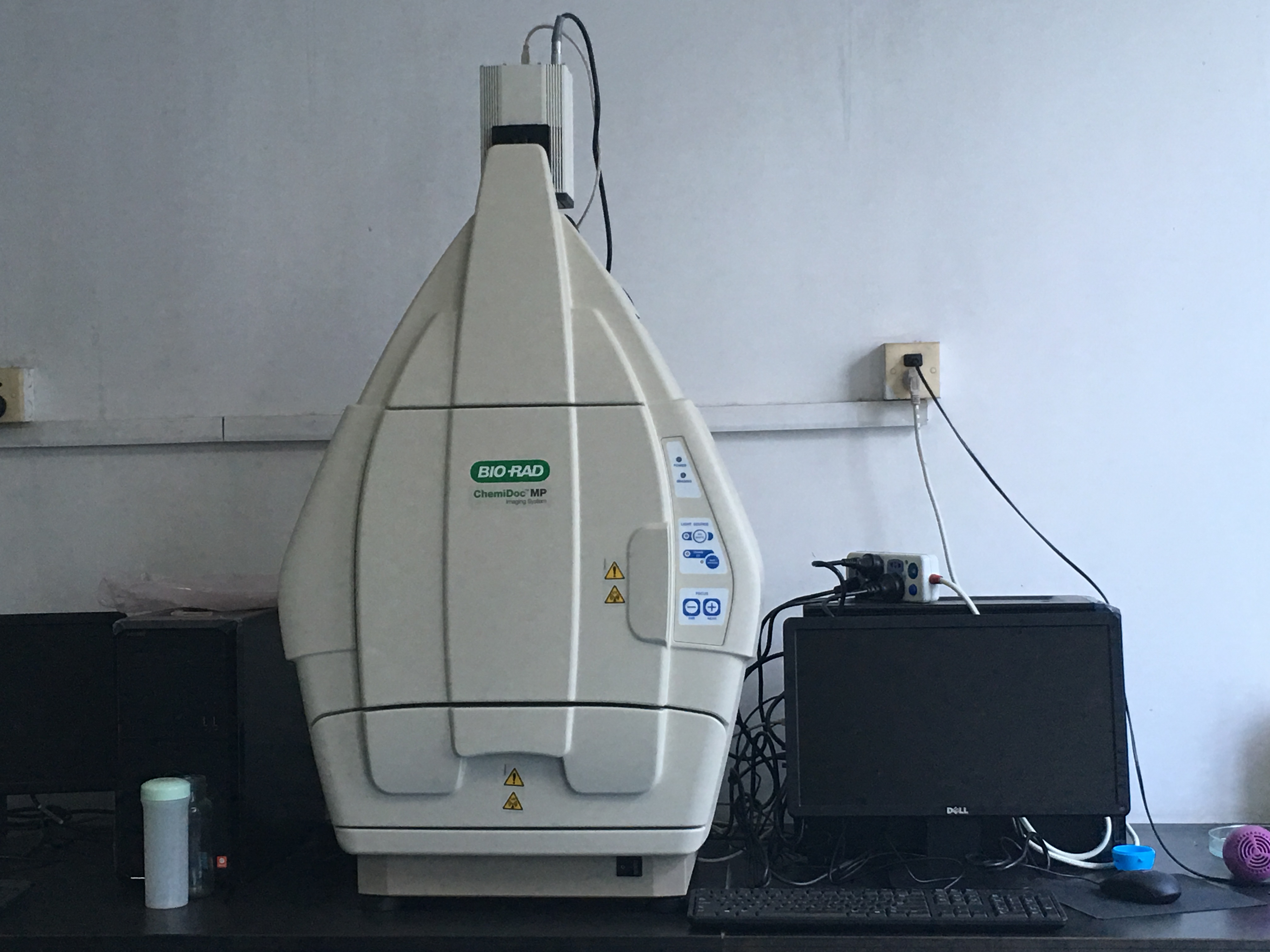 6 伯乐biorad化学发光凝胶成像系统