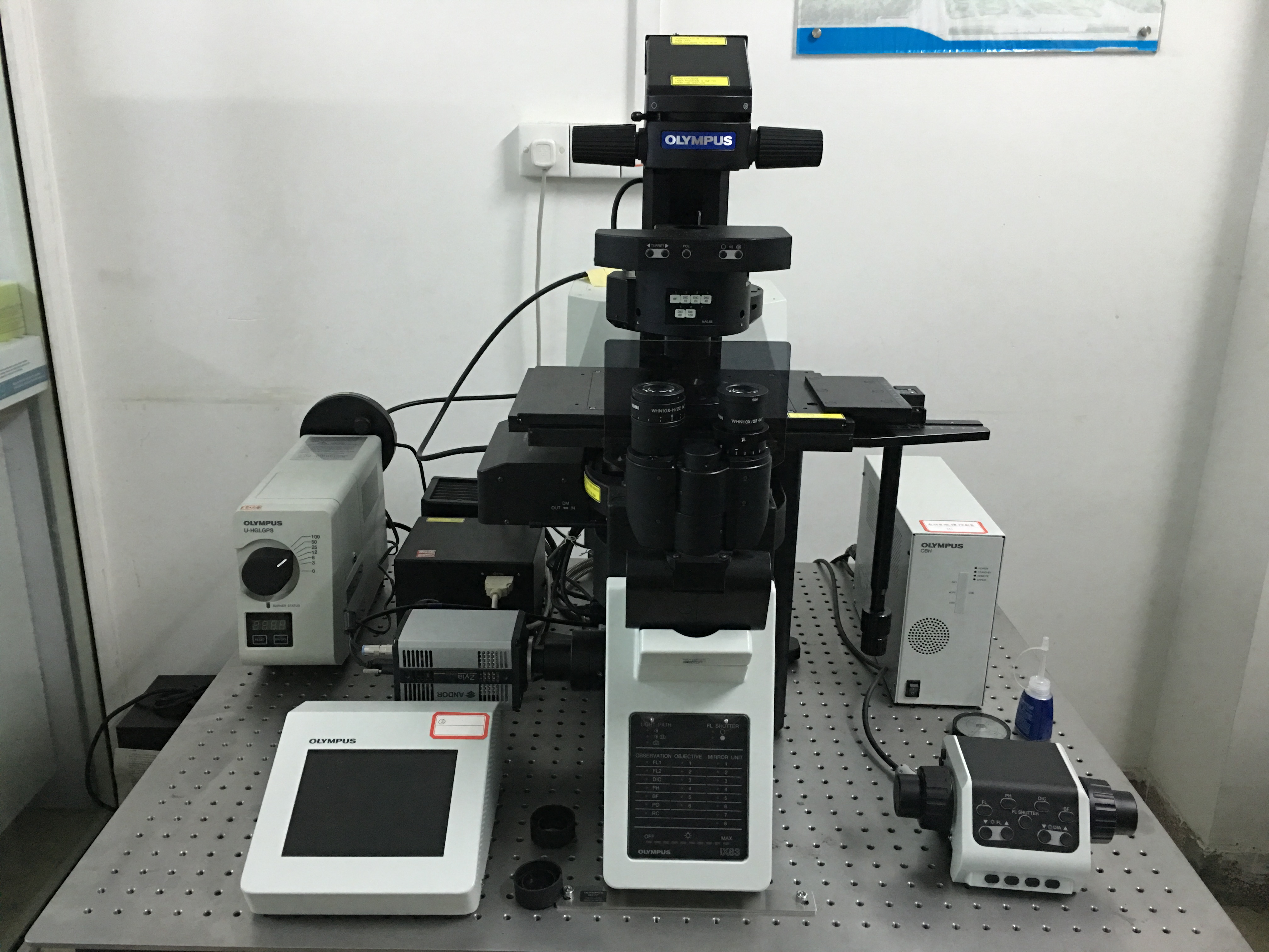 3 奧林巴斯olympus快速激光共聚焦顯微掃描系統